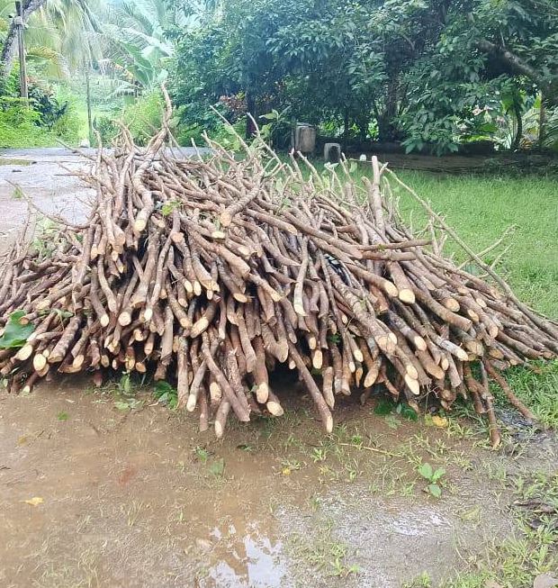 History of Ceylon Cinnamon